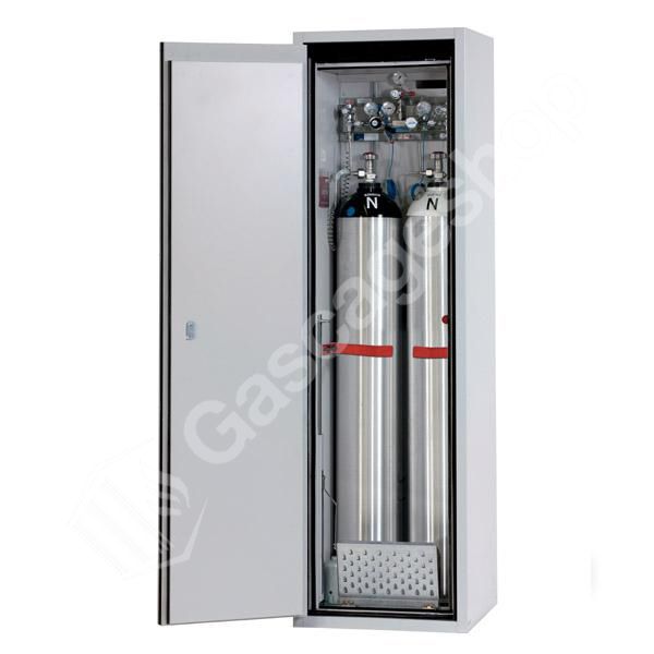 Fire Resistant Cabinet - 2 x Cylinders